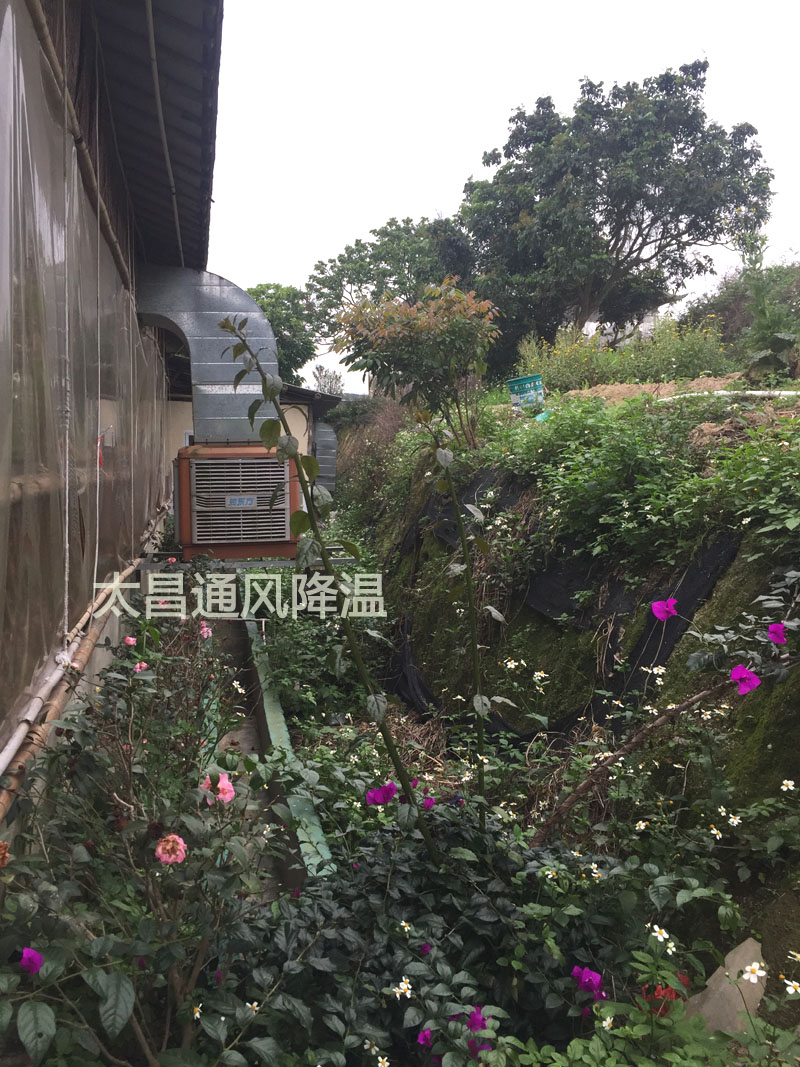 天氣太熱?環(huán)?？照{(diào)為你的餐廳守護(hù)清涼